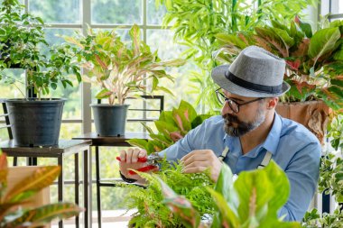 Hipster yaşlılar ağaçlarla ilgileniyor, sürdürülebilir emeklilikten sonra bahçe işleri hobisi olarak makaslarla ağaçları buduyorlar..