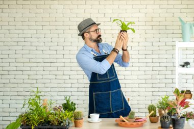 Hipster yaşlılar, sürdürülebilir emeklilikten sonra kentsel bahçe işleri hobisi olan ağaçlarla ilgileniyorlar..