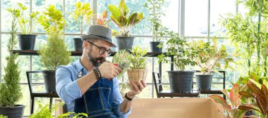 Hipster yaşlılar ağaçlarla ilgileniyor, sürdürülebilir emeklilikten sonra bahçe işleri hobisi olarak makaslarla ağaçları buduyorlar..