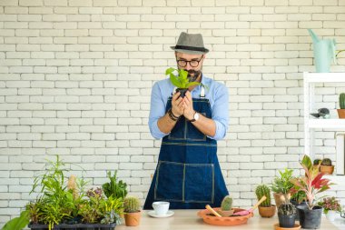 Hipster yaşlılar, sürdürülebilir emeklilikten sonra kentsel bahçe işleri hobisi olan ağaçlarla ilgileniyorlar..