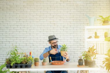 Bıyıklı yaşlı bir adam ya da büyükbaba, emeklilikten sonra ağaç için bahçeyle uğraşmayı sever..
