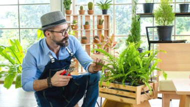 Hipster yaşlılar ağaçlarla ilgileniyor, sürdürülebilir emeklilikten sonra bahçe işleri hobisi olarak makaslarla ağaçları buduyorlar..