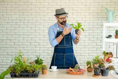 Hipster yaşlılar, sürdürülebilir emeklilikten sonra kentsel bahçe işleri hobisi olan ağaçlarla ilgileniyorlar..