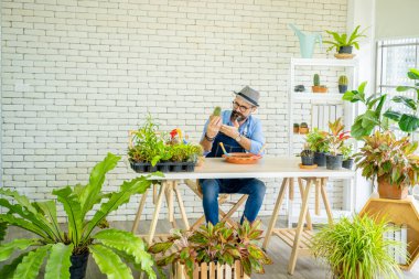 Hipster yaşlılar, sürdürülebilir emeklilikten sonra kentsel bahçe işleri hobisi olan ağaçlarla ilgileniyorlar..