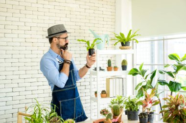 Hipster yaşlılar, sürdürülebilir emeklilikten sonra kentsel bahçe işleri hobisi olan ağaçlarla ilgileniyorlar..