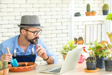 Hipster yaşlılar bitkilerle online olarak ilgilenmeyi öğreniyorlar, sürdürülebilir emeklilikten sonra bir şehir bahçesi hobisi..