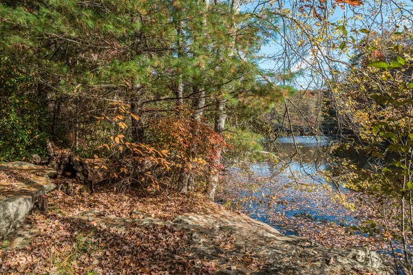 Gyönyörű Őszi Jelenet Egy Ösvényen Túrázás Cumberland Hegyi Állami Park — Stock Fotó