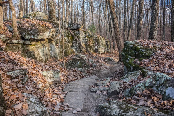 秋の終わりの晴れた日に森の中で裸の木や落ち葉に囲まれた山の岩の中を岩の歩道 — ストック写真