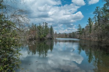 On a hiking trail looking out onto Byrd lake on a partly cloudy day in springtime with the trees starting to bud and some with flowers and a beautiful reflection on the lake a tranquil setting