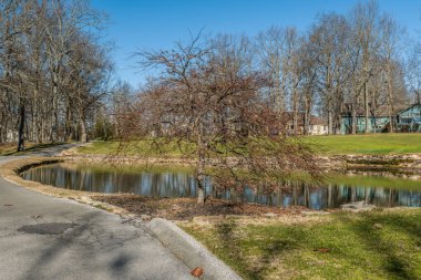 A small ornamental Japanese maple tree bare with some dead foliage hanging on in the foreground alongside a pond and walking trail on a bright sunny day in wintertime