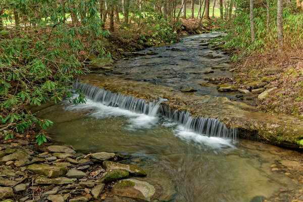 A wide creek with a small waterfall full of rocks and boulders alongside the trail in the forest surrounded by rhododendrons on a sunny day in late wintertime