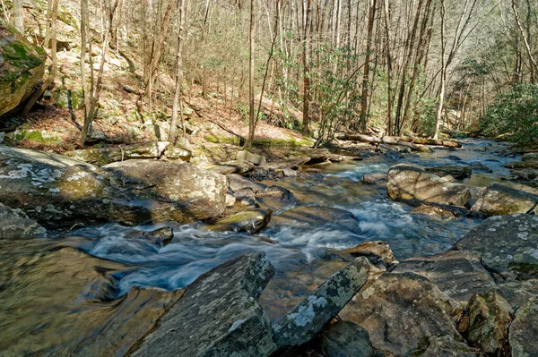 テネシーの山の中にある小さな小川を見下ろす岩の上に立つスティングフォークは日陰に落ち 早い春の午後には日光が現れます — ストック写真
