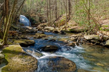 Kayaların arasından akan sığ bir dere kıyısında, Tennessee Dağları 'nın arka planındaki şelaleden akan kayalar, güneşli bir baharın ilk günlerinde Stinging fork' a düşer.