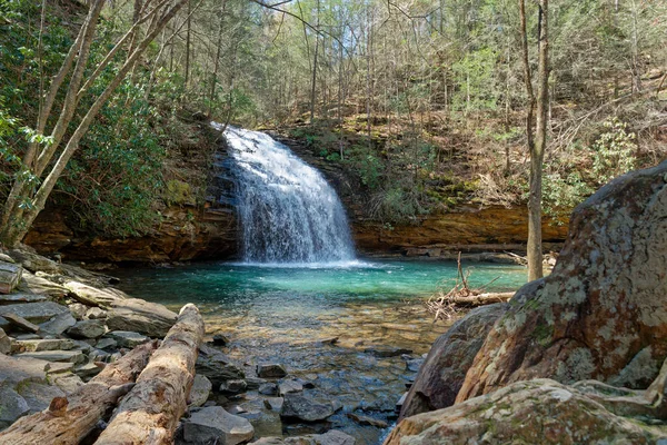 初春の晴れた日には岩や木に囲まれたターコイズブルーの水のプールに流れ落ちる滝の完全な景色 — ストック写真