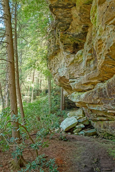 岩だらけのトレイルをハイキングして 春の晴れた日に森の中の岩場の崖に沿って登る — ストック写真