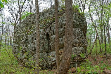 Tennessee 'deki Kara Dağ' daki ormandaki delik ve çatlaklarla dolu büyük bir kaya yığını baharda bulutlu bir günde