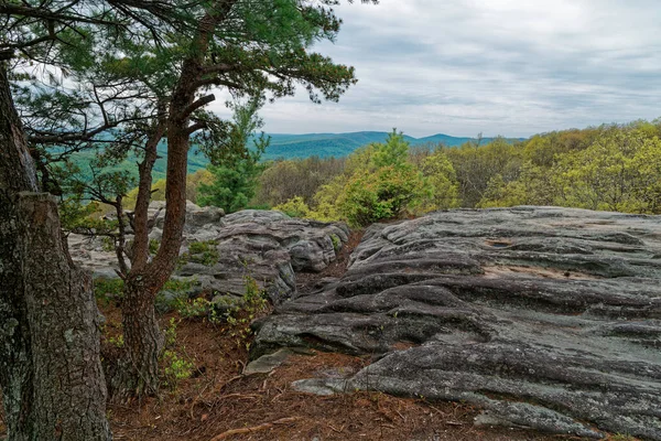 Black Mountain Overlook Trail Looking Out Vista Geological Wavy Rock — Stock Photo, Image