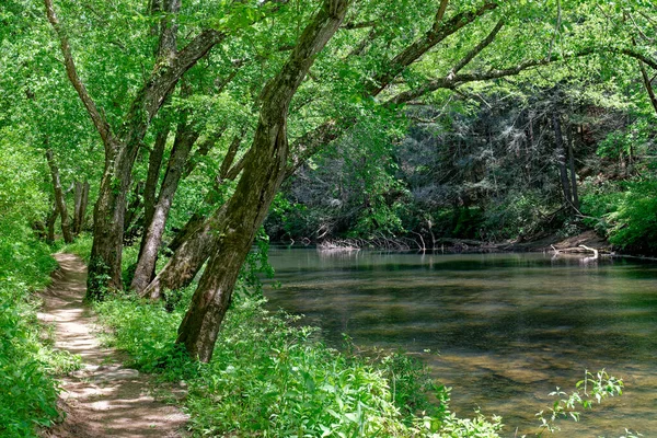春天里阳光明媚的日子 沿着清澈流淌的河流走着乡村小径 周围环绕着茂密的绿色草木和森林 — 图库照片