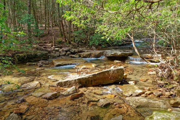 Trail crossing through the creek with a white cable for assistance and guiding over the water and boulders to go into the forest on the other side