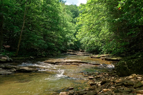 テネシー州の岩の上を流れる水でダスキン クリークを強調森の木々を通って輝く明るい日差し — ストック写真