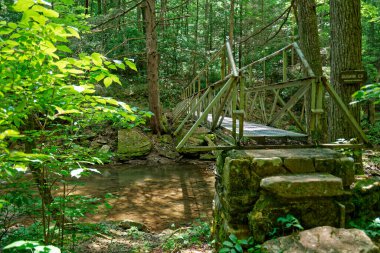 Yazın güneşli bir günde Tennessee 'de Duskin Deresi' nin üzerinden geçen ızgara ve taş basamaklı eski ve kırsal çelik bir köprü.