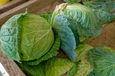 Büyük yapraklı yeşil lahana başları sonbaharın başlarında bir çiftçi pazarında ahşap bir sandıkta yakın çekimde.