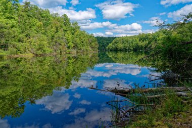 Tennessee 'de bir göl kenarındaki çayır dere parkında güneşli bir gün. Sonbaharın başlarında etrafındaki ormanla birlikte suyun üzerinde yansımaları var.