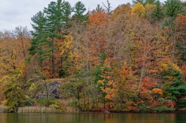 Sonbaharda bulutlu bir günde, kayalık araziyi çevreleyen çok renkli ağaçlarla dolu renkli kıyı şeridine bakıyorum.