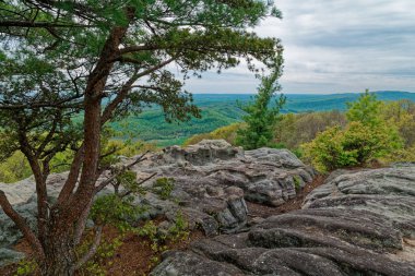 Tennessee 'de ilkbaharın başlarında bulutlu bir günde Kara Dağ' da kayaların üzerinde dikilirken