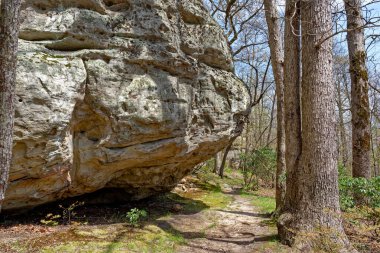 Large rock formations in the forest at Black mountain in Tennessee on the cumberland plateau with a hiking trail alongside the huge rocks on a sunny day in early springtime clipart