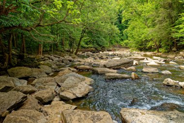 Şelaleden nehrin aşağısına, kayalık kayalık arazinin etrafındaki suların yaz mevsiminde yemyeşil orman boyunca aktığı yere doğru ters yöne bakıyor.