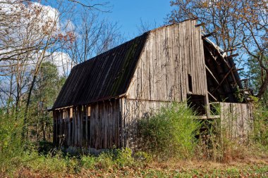 Çok eski ahşap ahır yarı yarıya parçalanmış, paslı metal bir çatı hala dimdik, güneşli bir kış gününde ağaçlarla dolu bir tarlada terk edilmiş.