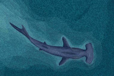 Hammerhead shark graphic mosiac wallpaper, editable vector illustration