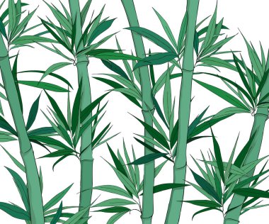 Hand drawn bamboo forest vector sketch 
