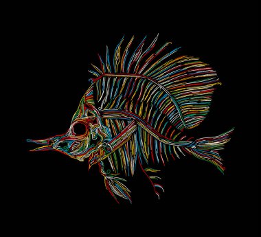 Renkli balık iskeleti, siyah üzerine vektör simgesi