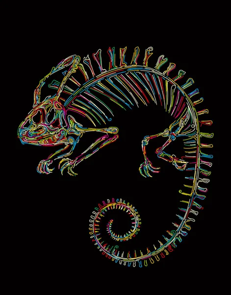 Vector Skeleton Chameleon Colors Black — Stock Vector