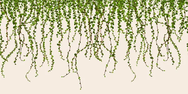 Illustration Vectorielle Mur Feuillage Vert Feuilles Plantes Grimpantes Motif Horizontal Vecteur En Vente