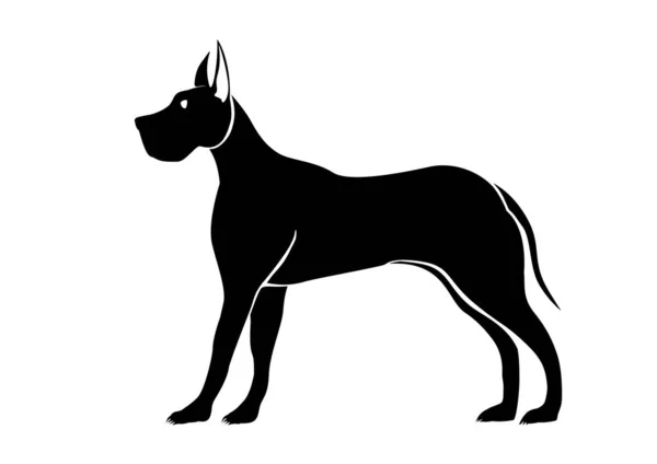 Stylized Vector Silhouette Great Dane White Background — Stock Vector