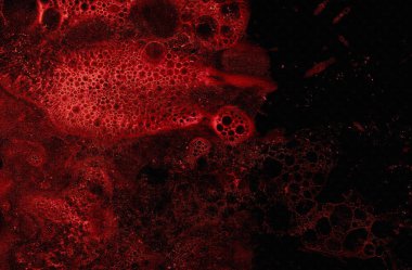 Koyu kırmızı soyut şablon, desenli kanlı grunge dekoratif arka plan