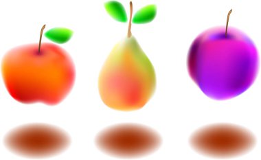 İllüstrasyon, çeşitli meyve, elma, armut, erik çeşitleri için vektör