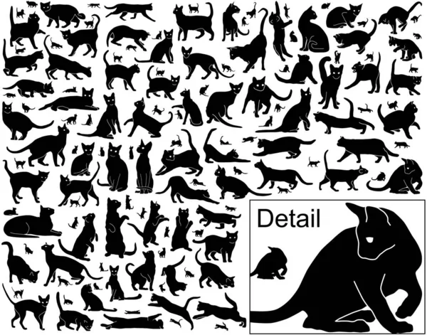 Colección Gatos Vectoriales Negros Varias Posiciones Con Contornos Básicos Incluidos — Vector de stock