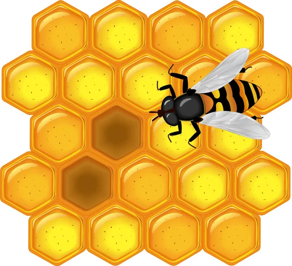 蜂と黄金のハニカムの光沢のあるベクトル図です — ストックベクタ