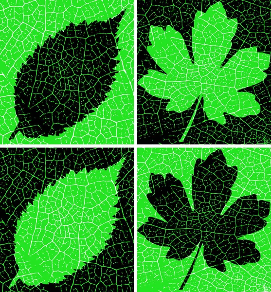 Vektorillustration Von Grünen Blättern Mit Adern — Stockvektor