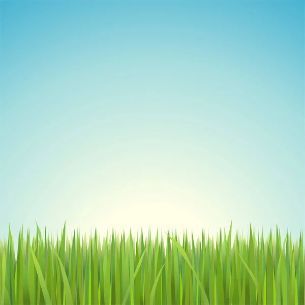 Jasne Błękitne Niebo Zielonej Trawie — Wektor stockowy
