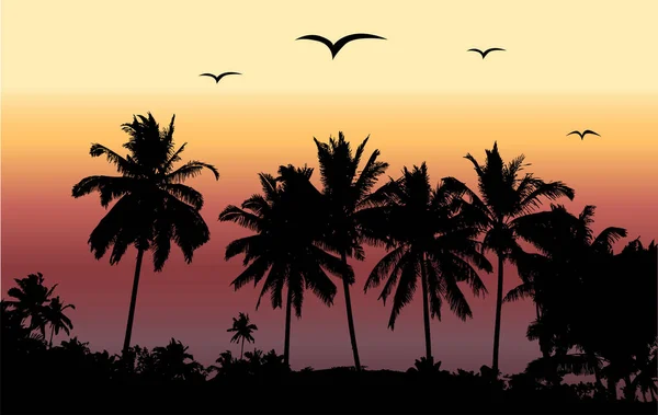 Coucher Soleil Tropical Palmiers — Image vectorielle