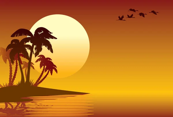 Tropik Bir Ada Sahilde Palmiye Ağaçları — Stok Vektör
