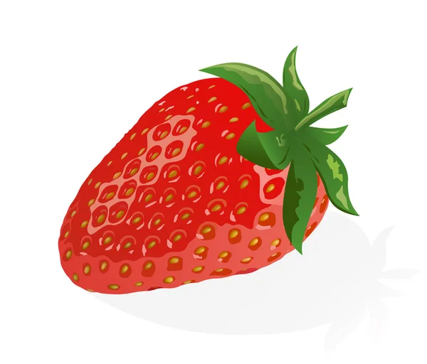 Reife Erdbeere Makro Isoliert Und Mit Schnittpfad — Stockvektor