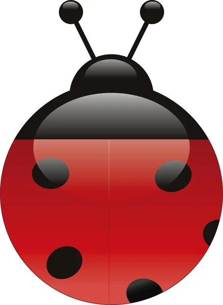 Vector Illustration Ladybug Aqua Style — Stock Vector