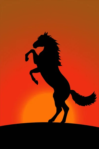 Horse Bucks Background Sunset — Stockový vektor