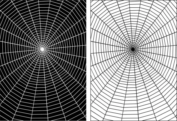 Illustration Vectorielle Une Toile Araignée Orbe — Image vectorielle